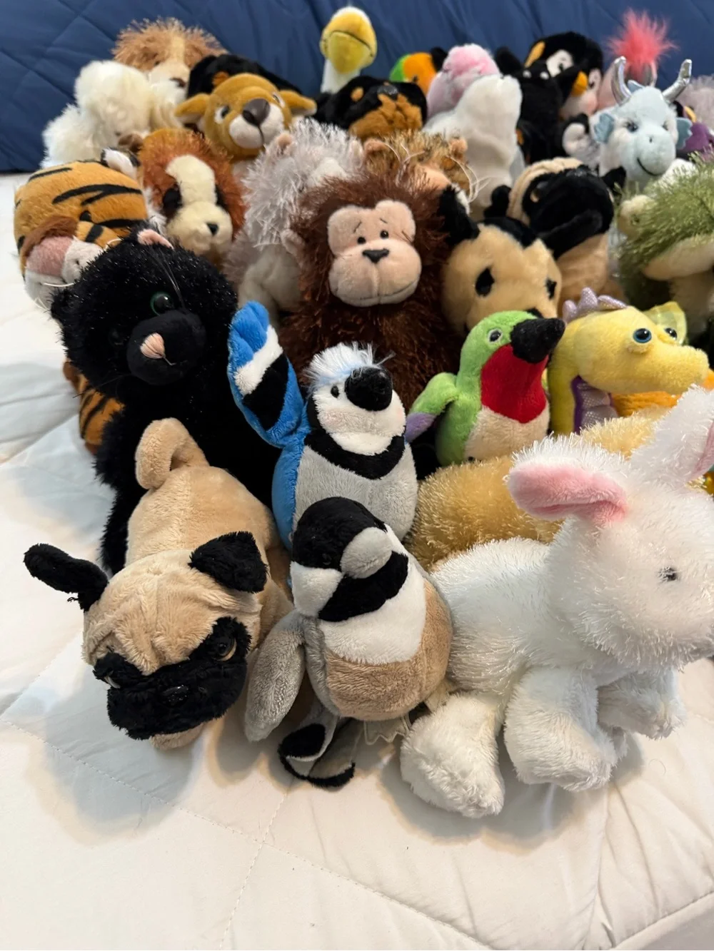 GANZ webkinz plush